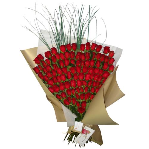 Enviar Rosas , Ramo por 100 Rosas Importadas a Domicilio