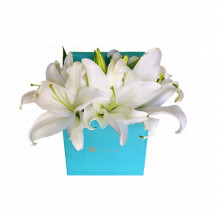 Box Tiffa Liliums