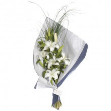 Liliums Orientales